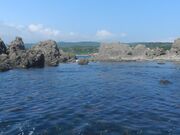 ���薦�̎ʐ^2