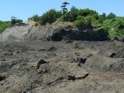 ���؊C�݂̎ʐ^2