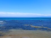 ���؊C�݂̎ʐ^3