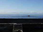 ����~�̎ʐ^2