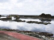 ����~�̎ʐ^3