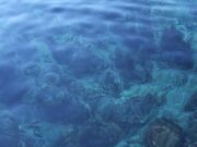 ����~�̎ʐ^4