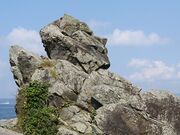 �l�ʊ�i����j�̎ʐ^3