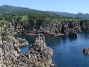 ��t�p�̎ʐ^2