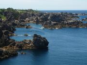 ��t�p�̎ʐ^3