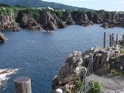 ��t�p�̎ʐ^4