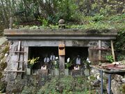 �B�ҊC�݂̎ʐ^3