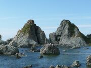 �v�w��̎ʐ^2