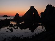 �v�w��̎ʐ^3