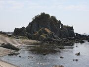 �v�w��̎ʐ^4