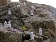 �΂̉͌��̎ʐ^2