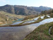 ���q�疇�c�̎ʐ^2