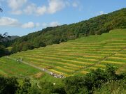 ���q�疇�c�̎ʐ^3