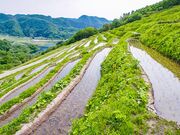 ���q�疇�c�̎ʐ^4