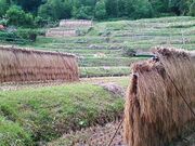 ���z�{�I�c�̎ʐ^2