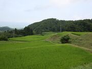 �����I�c�̎ʐ^2