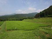 �k�ЕӒI�c�̎ʐ^3