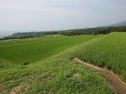 �k�ЕӒI�c�̎ʐ^4