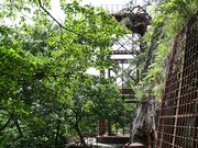 �嗧�G�B�̎ʐ^3