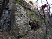 �嗧�G�B�̎ʐ^4