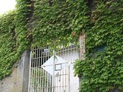 ������S�u�x���̎ʐ^4