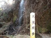 �ߎq��R�̎ʐ^2