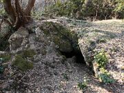 �ߎq��R�̎ʐ^3