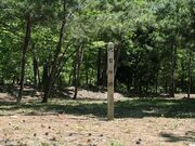 �ߎq��R�̎ʐ^4