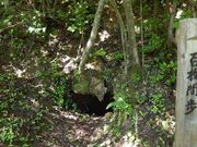 �V���R�̎ʐ^3