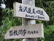 �V���R�̎ʐ^4