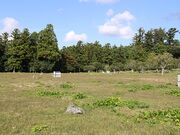 ���n�������Ղ̎ʐ^3