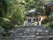 ���J���̎ʐ^4