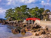 �Ð_�_�Ђ̎ʐ^3