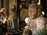 �Ζ��������̎ʐ^3