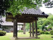 �T�����̎ʐ^2