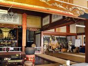 �T�����̎ʐ^3