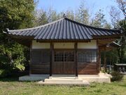 �T�����̎ʐ^4