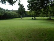 ��R�����̎ʐ^2