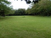 ��R�����̎ʐ^3