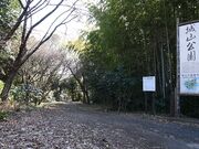 ��R�����̎ʐ^4