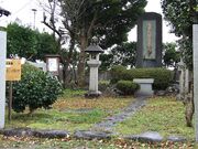 ���@���l�g��ڔ�̎ʐ^2