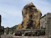 ���ڎs���q��̕�̎ʐ^2