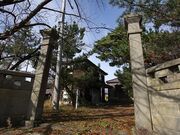 �����I�O���̎ʐ^4