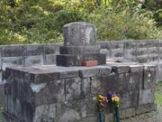 �k��P�̕�̎ʐ^2