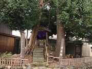 �����ˁi����j�̎ʐ^2