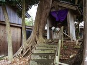 �����ˁi����j�̎ʐ^3