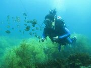 ���؃_�C�r���O�Z���^�[�E�N���u�n�E�X�̎ʐ^2