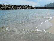 �邪�l�C������̎ʐ^2