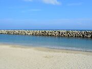 �邪�l�C������̎ʐ^3