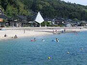 �邪�l�C������̎ʐ^4